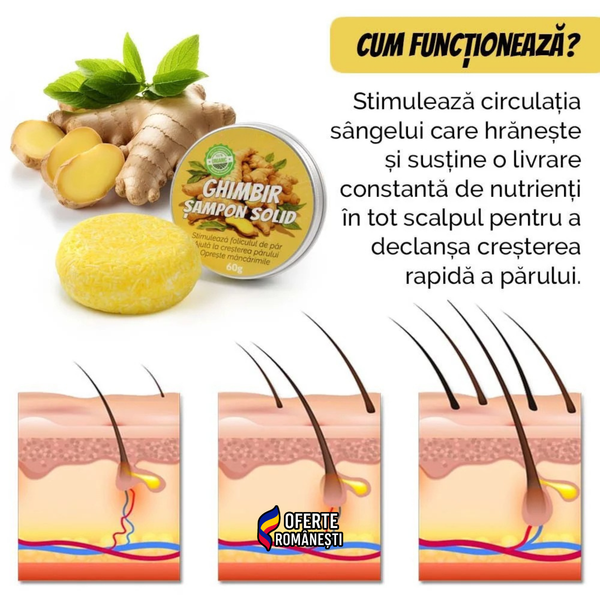 VitaGinger - Șampon natural pentru cresterea parului
